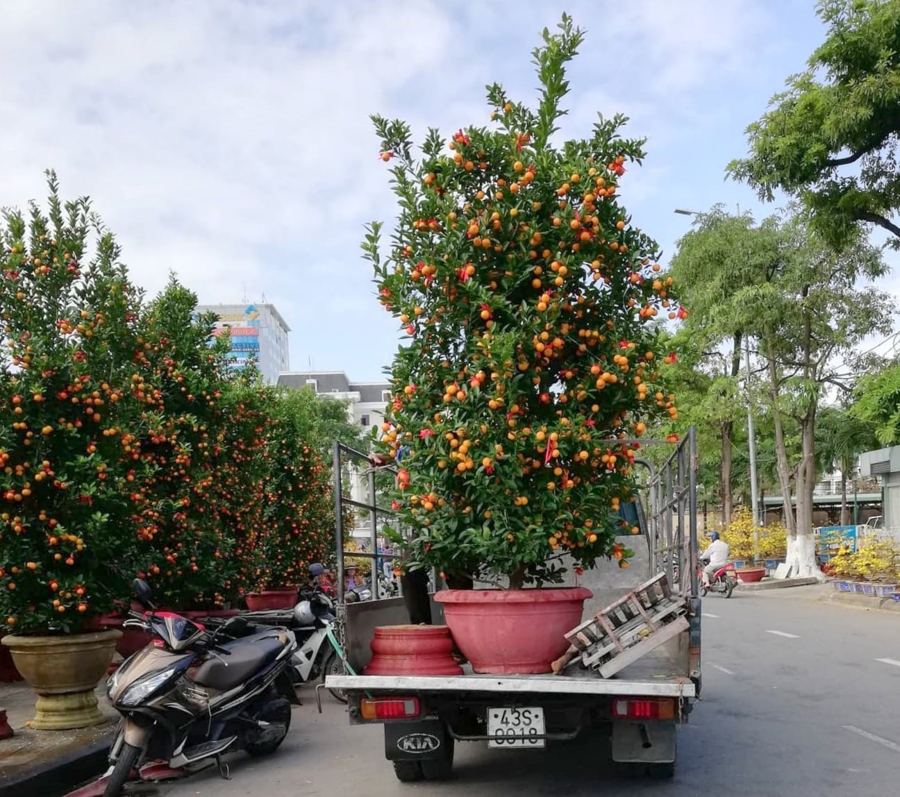 xe tải chở hoa
